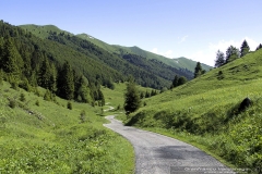 La provinciale 141 in direzione Malga Mure